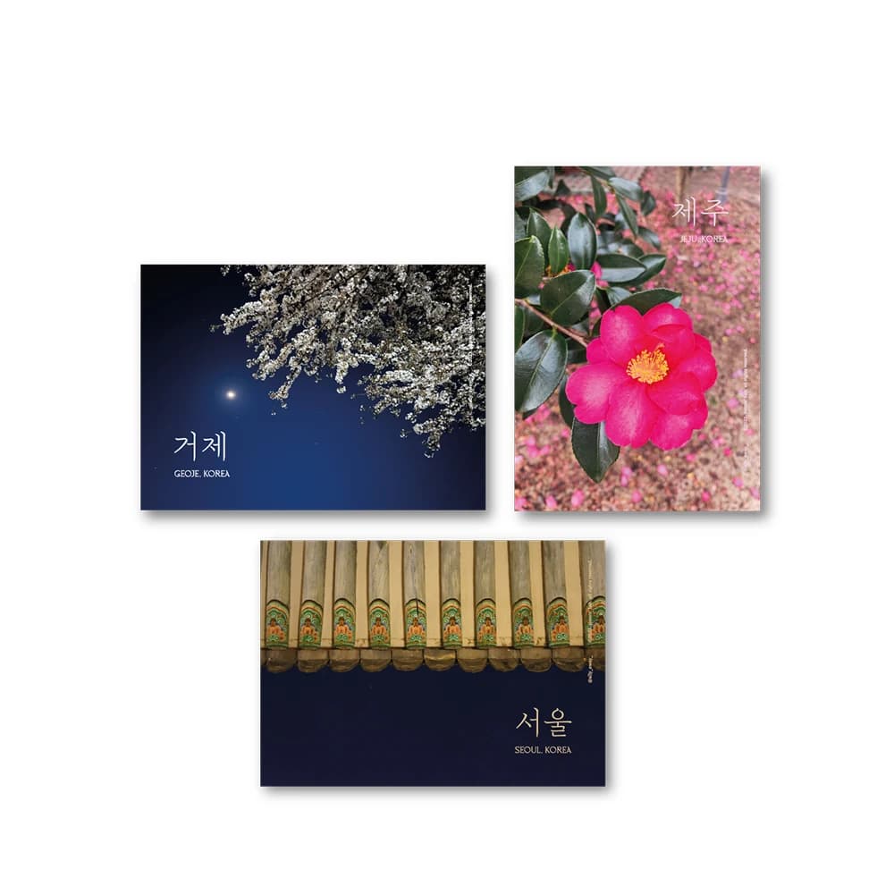 앨리 미니포스터